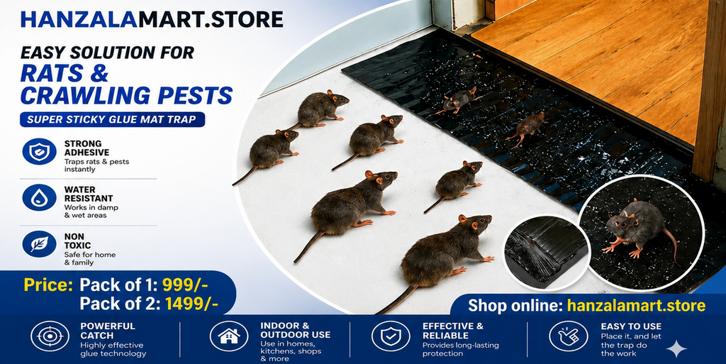 Mouse/Rat Trap Sheet – Sticky Glue Trap for Mice & Rats